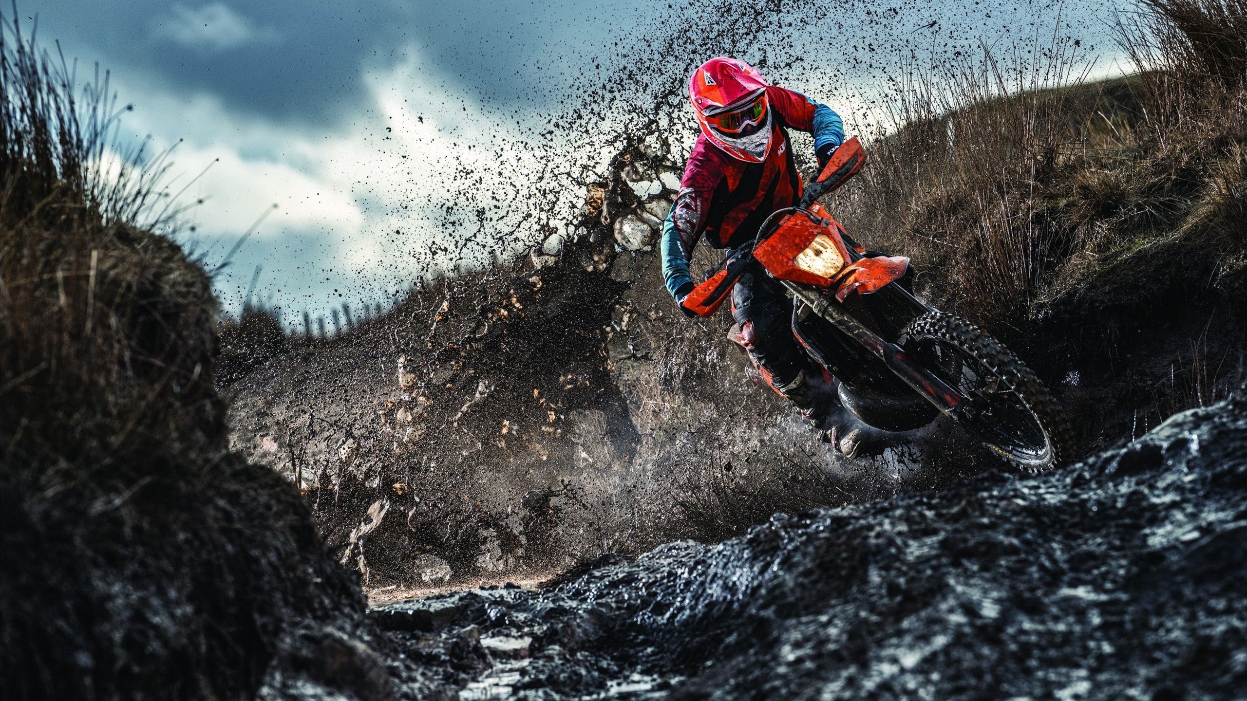 当未来降临,文班亚马的统治之夜,猛龙与尼克斯见证新纪元